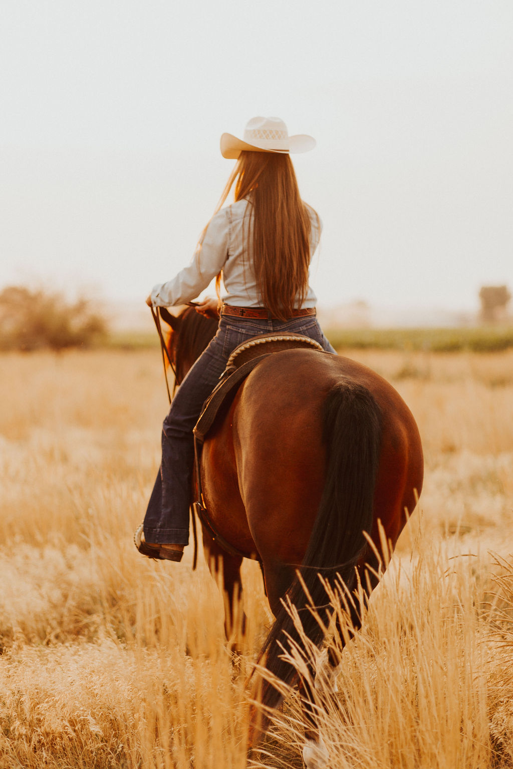 woman with long hair and a cowboy hat sitting on a bay horse riding in a field with tall grass