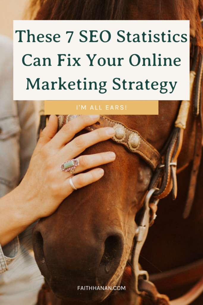 closeup of women stroking horse as she instructs about seo statistic fixing your online marketing strategy