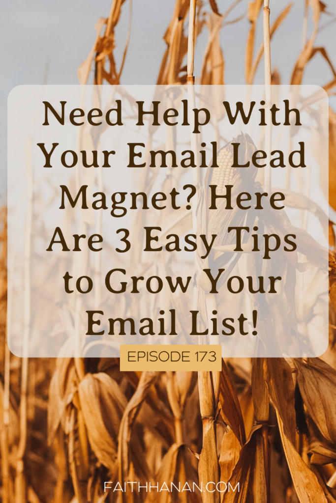need-help-with-your-email-lead-magnet-here-are-3-easy-tips-to-grow-your-email-list